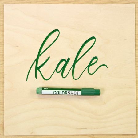 Picture of 43843 Premium Paint Marker Kale