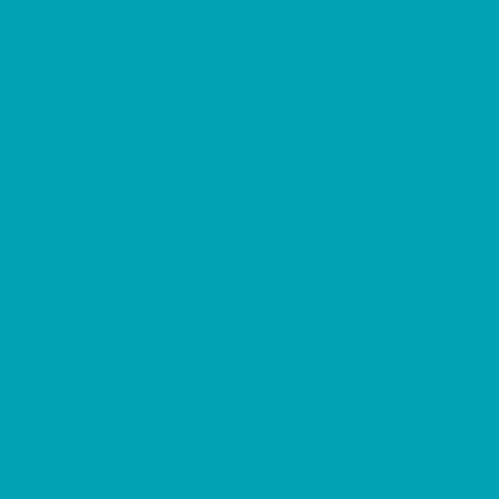 Picture of 42734 Tulip® Permanent Fabric Dye Teal