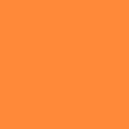 Picture of 33598 ColorShot Neon Orange