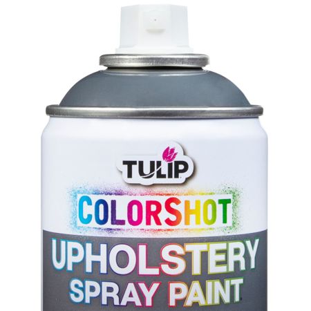 Picture of 37144 ColorShot Interior Charcoal