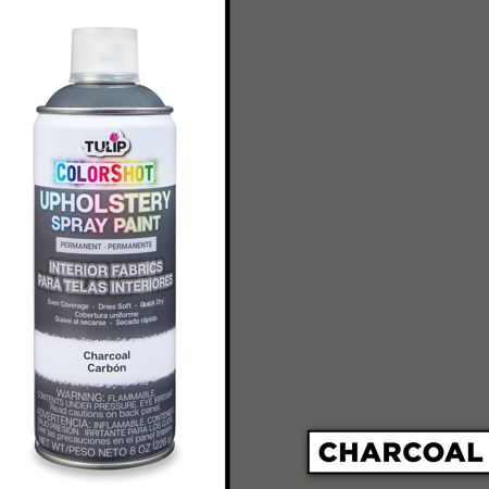 Picture of 37144 ColorShot Interior Charcoal