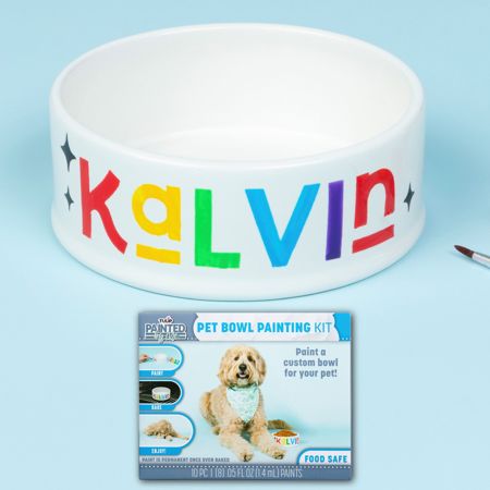 Picture of 48458 Tulip Painted by Me Pet Bowl Painting Kit