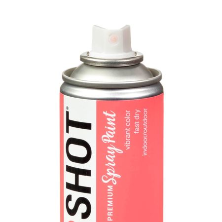 Picture of 40082 COLORSHOT Gloss Spray Paint Summer Pedicure (Coral) 10 oz.