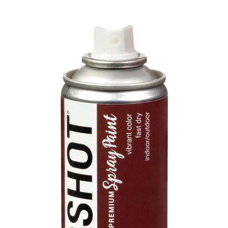 Picture of 40099 COLORSHOT Gloss Spray Paint Brownie Points (Brown) 10 oz.