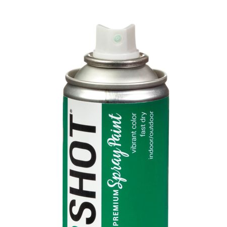 Picture of 40085 COLORSHOT Gloss Spray Paint Cash (Green) 10 oz.