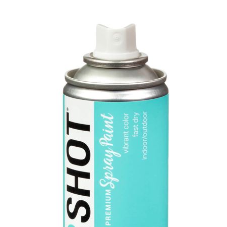 Picture of 40088 COLORSHOT Gloss Spray Paint Island Girl (Mint) 10 oz.