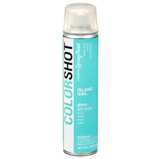 Picture of 40088 COLORSHOT Gloss Spray Paint Island Girl (Mint) 10 oz.