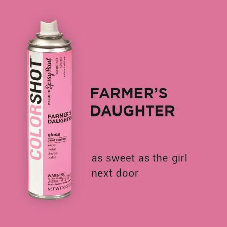 Picture of 40076 COLORSHOT Gloss Spray Paint Farmer's Daughter (Pink) 10 oz.