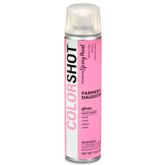 Picture of 40076 COLORSHOT Gloss Spray Paint Farmer's Daughter (Pink) 10 oz.