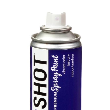 Picture of 40096 COLORSHOT Gloss Spray Paint Center Stage (Purple) 10 oz.