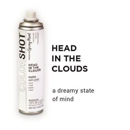 Picture of 40109 COLORSHOT Matte Spray Paint Head in the Clouds (White) 10 oz.