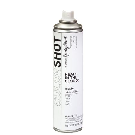 Picture of 40109 COLORSHOT Matte Spray Paint Head in the Clouds (White) 10 oz.