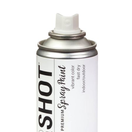 Picture of 40109 COLORSHOT Matte Spray Paint Head in the Clouds (White) 10 oz.