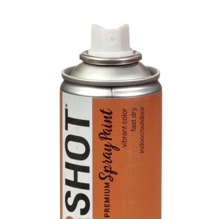 Picture of 40110 COLORSHOT Metallic Spray Paint Lucky Penny (Rose Gold Metallic) 9 oz.