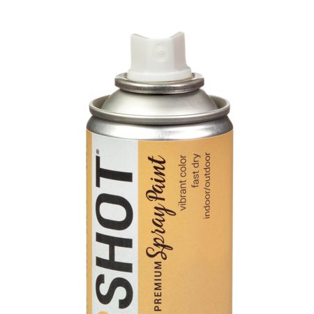 Picture of 40112 COLORSHOT Metallic Spray Paint First Million (Gold Metallic) 9 oz.