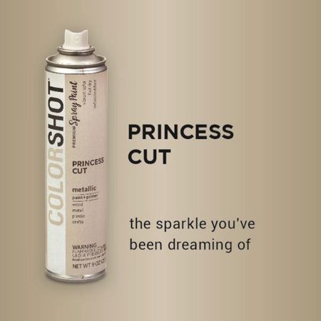 Picture of 40116 COLORSHOT Metallic Spray Paint Princess Cut (Nickel Metallic) 9 oz.