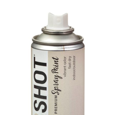 Picture of 40116 COLORSHOT Metallic Spray Paint Princess Cut (Nickel Metallic) 9 oz.