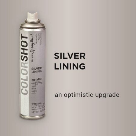 Picture of 40117 COLORSHOT Metallic Spray Paint Silver Lining (Silver Metallic) 9 oz.