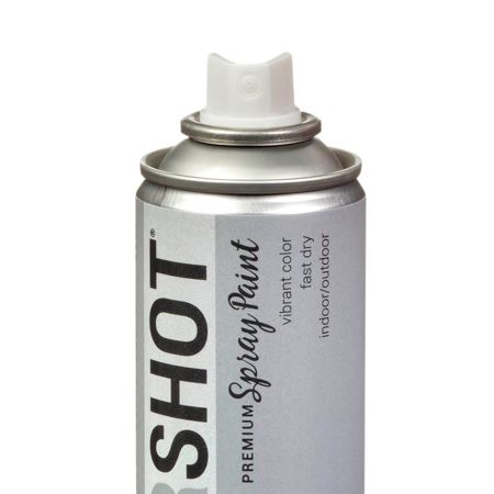 Picture of 40117 COLORSHOT Metallic Spray Paint Silver Lining (Silver Metallic) 9 oz.