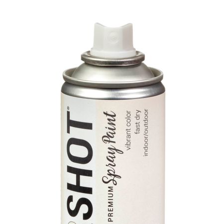 Picture of 40120 COLORSHOT Metallic Spray Paint Bubble Bath (White Metallic) 9 oz.