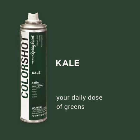 Picture of 40086 COLORSHOT Satin Spray Paint Kale (Dark Green) 10 oz.