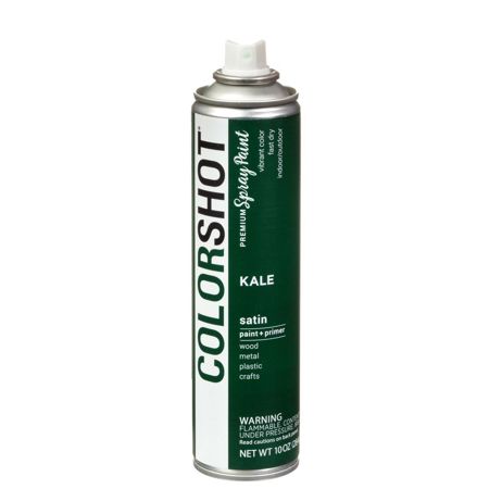 Picture of 40086 COLORSHOT Satin Spray Paint Kale (Dark Green) 10 oz.