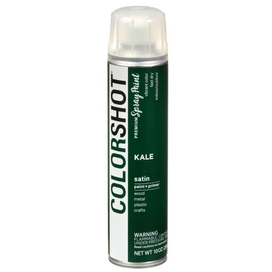 Picture of 40086 COLORSHOT Satin Spray Paint Kale (Dark Green) 10 oz.