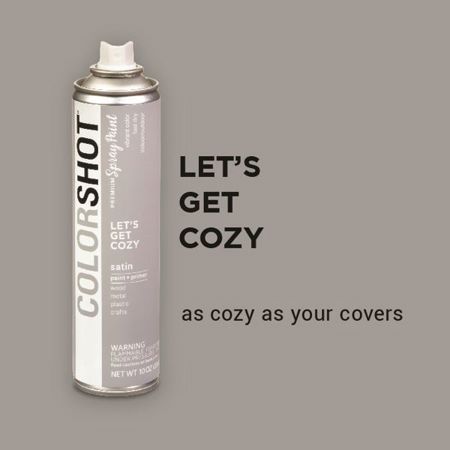 Picture of 40101 COLORSHOT Satin Spray Paint Let's Get Cozy (Light Gray) 10 oz.