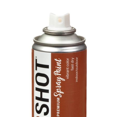 Picture of 40098 COLORSHOT Satin Spray Paint Root Beer Float (Medium Brown) 10 oz.