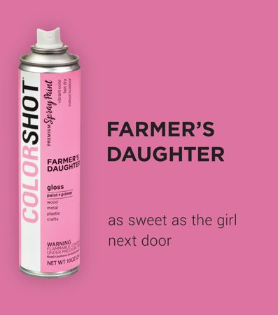 Picture of 48273 COLORSHOT Gloss Spray Paint Farmer's Daughter (Pink) 10 oz.