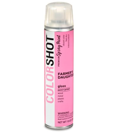 Picture of 48273 COLORSHOT Gloss Spray Paint Farmer's Daughter (Pink) 10 oz.