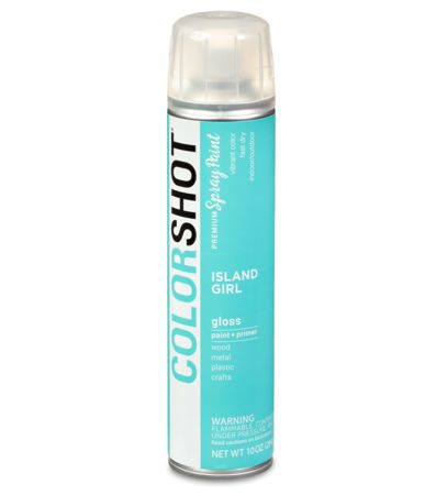 Picture of 48285 COLORSHOT Gloss Spray Paint Island Girl (Mint) 10 oz.