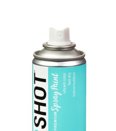 Picture of 48285 COLORSHOT Gloss Spray Paint Island Girl (Mint) 10 oz.