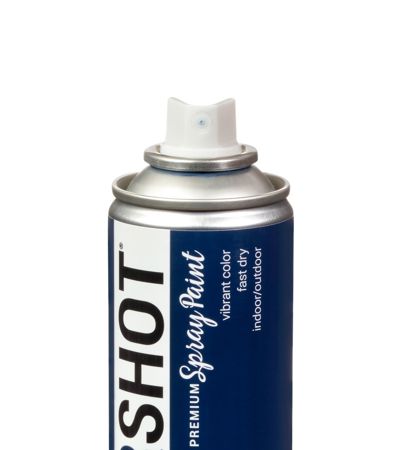 Picture of 48291 COLORSHOT Gloss Spray Paint Stamped Passport (Navy Blue) 10 oz.