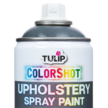 Picture of 37144 ColorShot Interior Charcoal