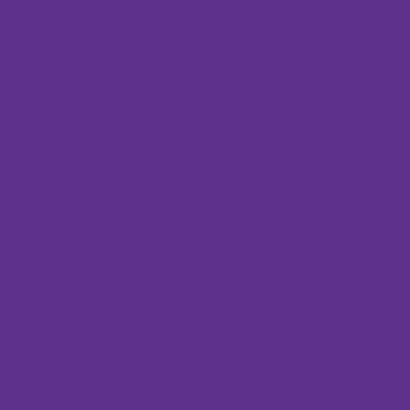 Picture of 42735 Tulip® Permanent Fabric Dye Purple