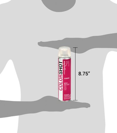 Picture of 48274 COLORSHOT Gloss Spray Paint Cosmo (Dark Pink) 10 oz.