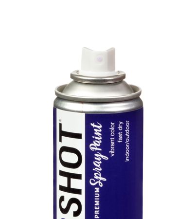 Picture of 48293 COLORSHOT Gloss Spray Paint Center Stage (Purple) 10 oz.