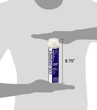 Picture of 48293 COLORSHOT Gloss Spray Paint Center Stage (Purple) 10 oz.