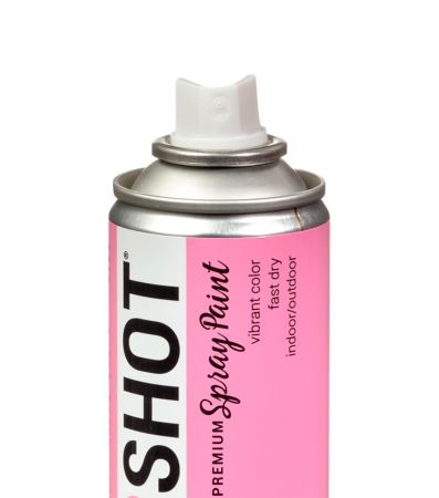 Picture of 48273 COLORSHOT Gloss Spray Paint Farmer's Daughter (Pink) 10 oz.