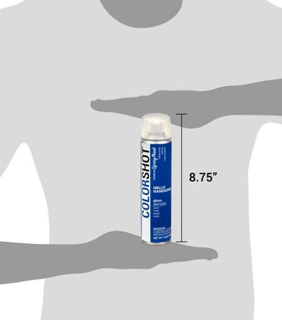 Picture of 48290 COLORSHOT Gloss Spray Paint Hello Handsome (Royal Blue) 10 oz.