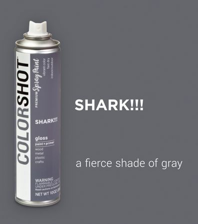 Picture of 48299 COLORSHOT Gloss Spray Paint Shark! (Dark Gray) 10 oz.