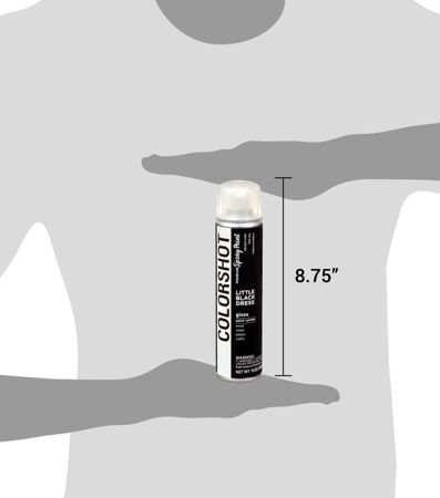 Picture of 48300 COLORSHOT Gloss Spray Paint Little Black Dress (Black) 10 oz.