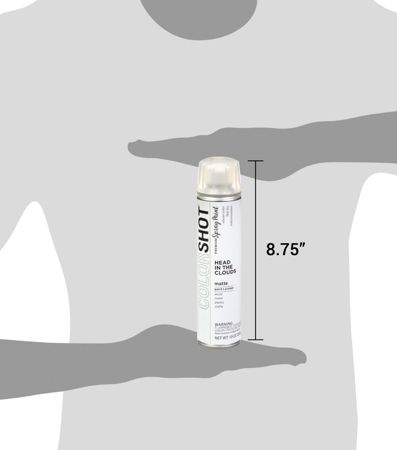 Picture of 48306 COLORSHOT Matte Spray Paint Head in the Clouds (White) 10 oz.