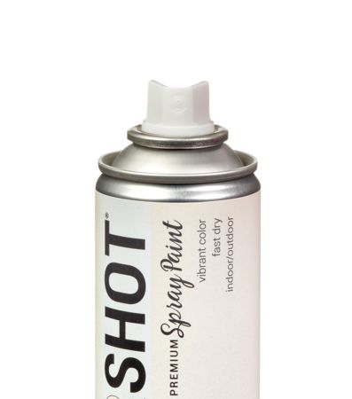 Picture of 48317 COLORSHOT Metallic Spray Paint Bubble Bath (White Metallic) 9 oz.