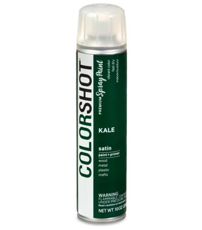 Picture of 48283 COLORSHOT Satin Spray Paint Kale (Dark Green) 10 oz.