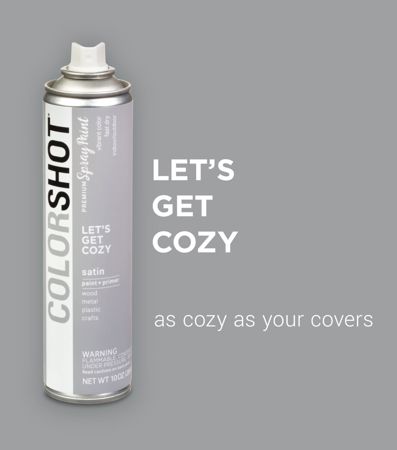 Picture of 48298 COLORSHOT Satin Spray Paint Let's Get Cozy (Light Gray) 10 oz.