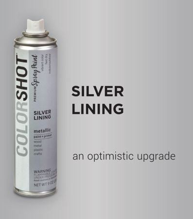 Picture of 48314 COLORSHOT Metallic Spray Paint Silver Lining (Silver Metallic) 9 oz.