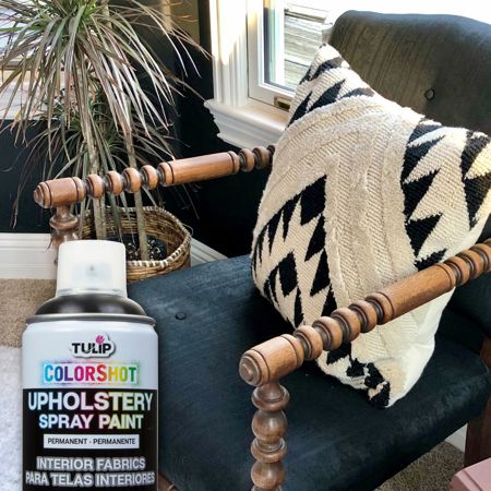 Picture of 37146 ColorShot Interior Black